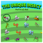 THE UNIQUE INSECT: Encontrar el Bicho Sin pareja