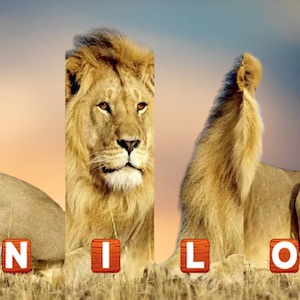 puzzle con nombres de animales en inglés