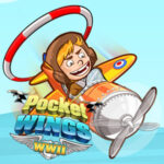 POCKET WINGS: Avión de Acrobacias