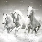 PUZZLES DE CABALLOS