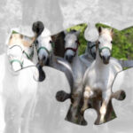 Puzzles Online de CABALLOS