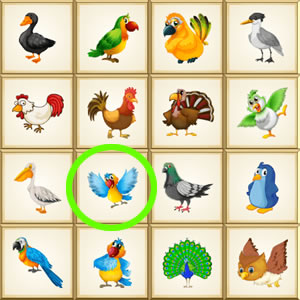 juego visual online de buscar el pájaro diferente
