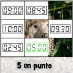 Puzzles de las Horas en Español