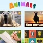 MINI JUEGOS de Animales