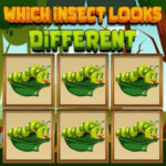 Buscar el Insecto Diferente