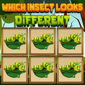 juego de buscar el insecto diferente