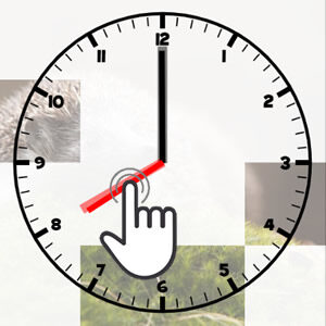 reloj interactivo online educativo para niños