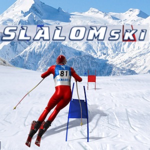 slalom ski simulator