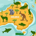 SOMBRAS DE ANIMALES: Continentes del Mundo