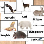 Nombres de Animales en Francés