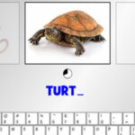 Escribir en el Teclado: Animales en Inglés