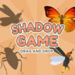 SHADOW GAME: Arrastrar y Soltar Sombras