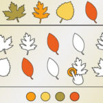 ASOCIACIÓN DE OTOÑO: Formas y Colores