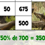 Puzzle de Calcular Porcentajes