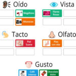 Clasificación: los 5 sentidos