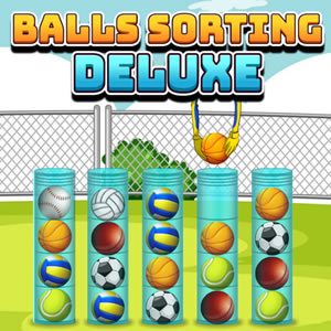 Clasificar Pelotas de Deporte en Cokitos
