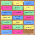 Juego de Clasificar EMOCIONES en Inglés