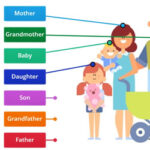 Miembros de la Familia en Inglés