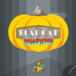 FLAPCAT Halloween