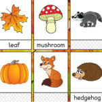 Flashcards de Otoño en Inglés