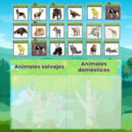 Clasificar Animales Domésticos y Salvajes