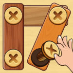 SCREW PUZZLE: Juego de Quitar Tornillos