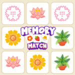 MEMORY MATCH: Memorama para Adultos