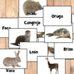 Nombres de Animales en Español