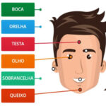 Partes de la Cara en Portugués