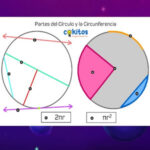 Partes del Círculo y de la Circunferencia