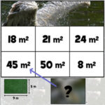 Puzzle de Calcular Áreas