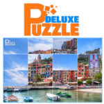 PUZZLE DELUXE: Puzzle Deslizante Adultos
