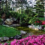 Puzzles de Jardines Japoneses