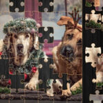 Rompecabezas de Perros Navideños