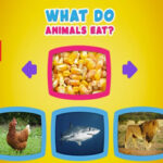 Qué Comen los Animales