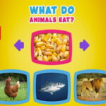 Qué Comen los Animales