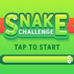 Reto Snake