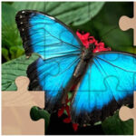 Puzzles Rompecabezas de Mariposas