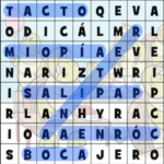 Sopa de Letras de Los Sentidos