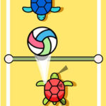 Volleyball de Tortugas